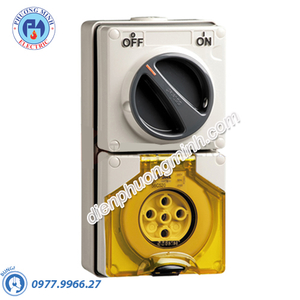 Ổ cắm có khóa 5P 20A 500V IP66 - Model S56C520GY