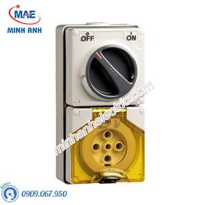 Ổ cắm có khóa 5P 32A 500V IP66 - Model S56C532GY