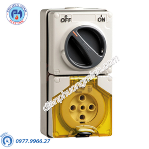 Ổ cắm có khóa 5P 32A 500V IP66 - Model S56C532GY