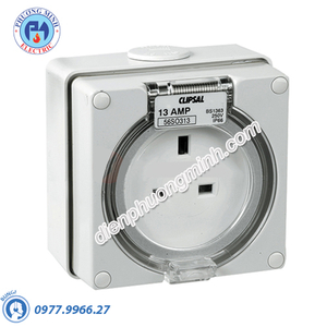 Ổ cắm có đế 3P 13A 250V IP66 - Model S56SO313GY