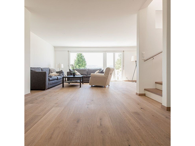 Sàn nhựa hèm khoá vân gỗ dày 5.5mm AP-SAN55 DNG