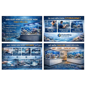 SẢN XUẤT KÍNH HỒ CÁ NƯỚC MẶN THEO YÊU CẦU – XƯỞNG GIA CÔNG HỒ BIỂN CHUẨN KẾT CẤU CITYBUILDING