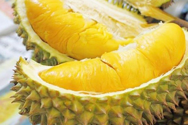 Sầu riêng ri6 miền tây L2
