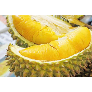 Sầu riêng ri6 miền tây L2