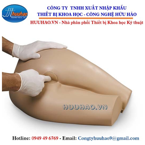 Mô hình thực hành khám hậu môn trực tràng