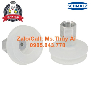 SCHMALZ FSGA 43 SI-55 G1/4-IG (10.01.06.00072)