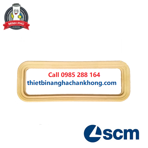 SCM-VIET NAM