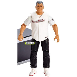 WWE SHANE McMAHON - ELITE 61 (KHÔNG PHỤ KIỆN, KHÔNG HỘP)
