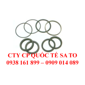 Sin Ty Ben Lái FD20-30Z5,T3/ Sin phốt ty ben lái