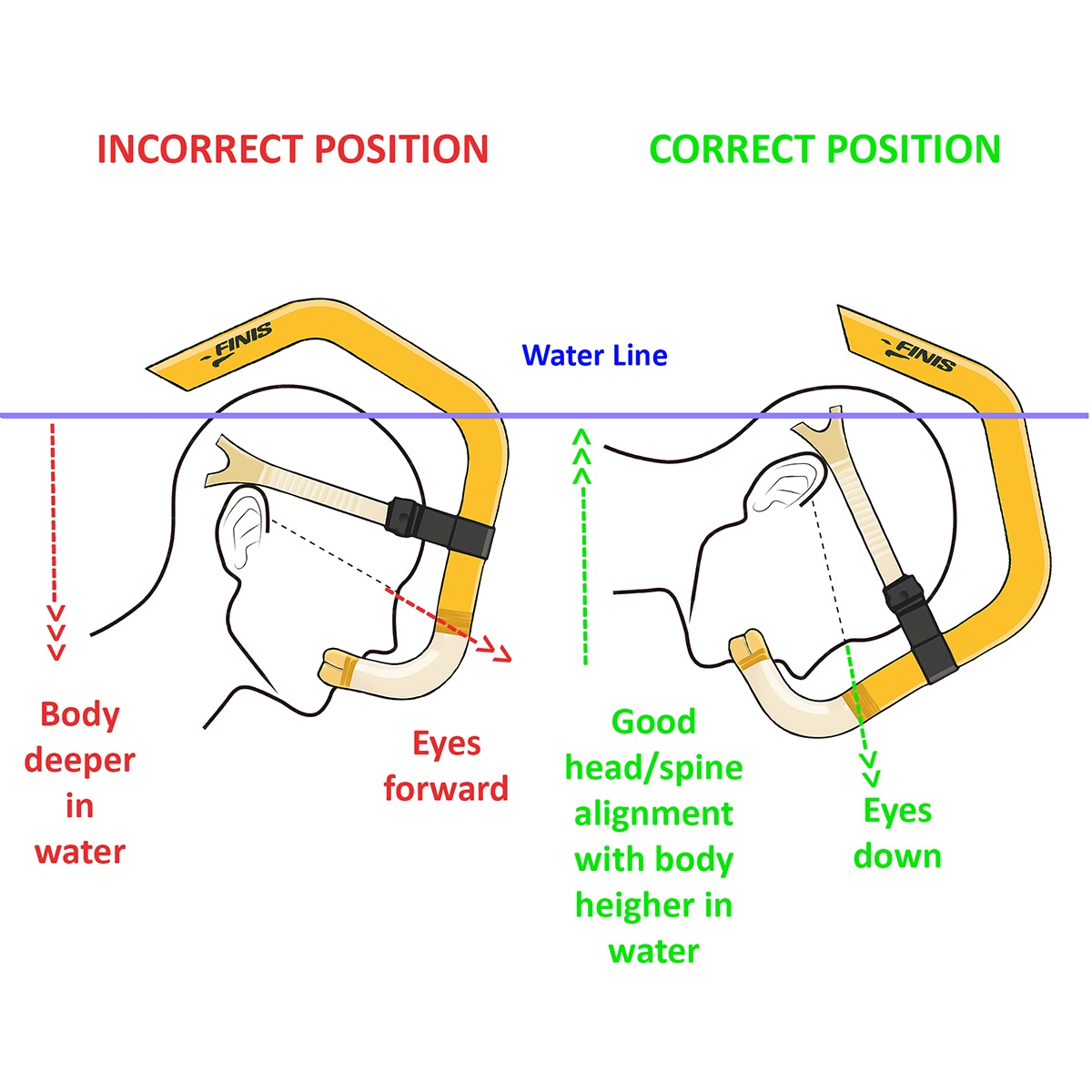 ỐNG THỞ TẬP LUYỆN KỶ THUẬT BƠI SẢI FINIS (FREESTYLE SNORKEL)