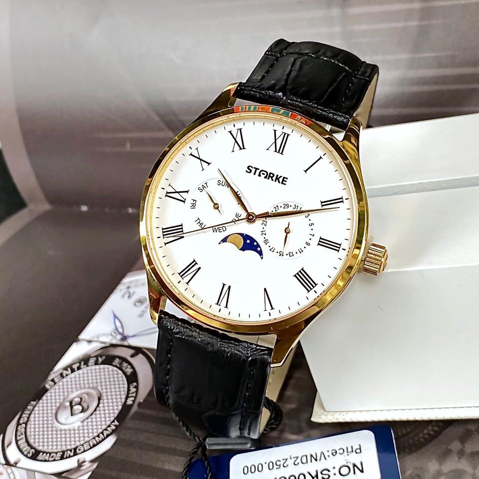 Đồng hồ nam STARKE SK068PM-KT chính hãng