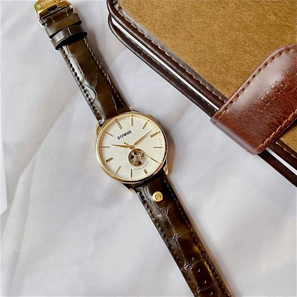 ĐỒNG HỒ NAM STARKE SK130BM