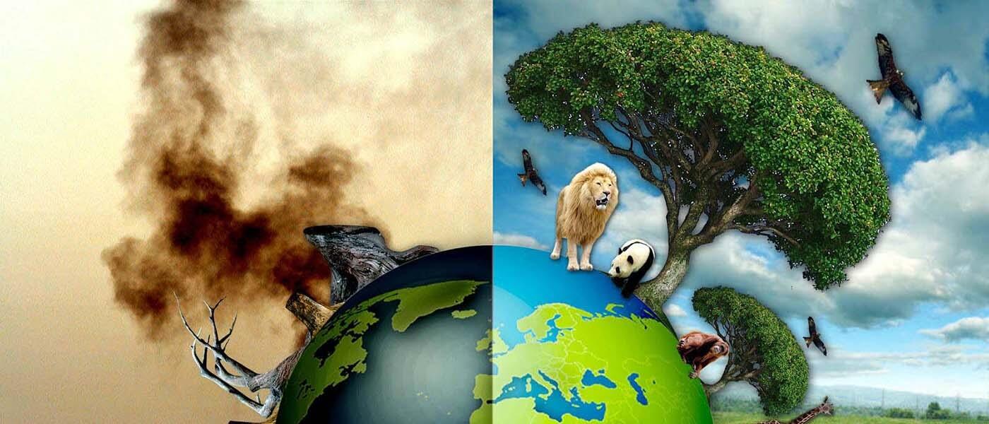 {1} bao-cao-tacp-dong-moi-truong-dtm