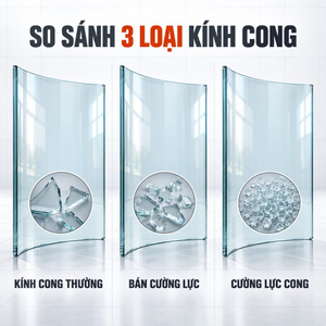 So Sánh Kính Cong Thường, Bán Cường Lực Và Cường Lực Cong