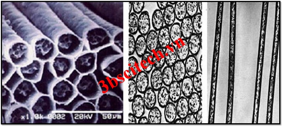 Sợi polyester dưới kính hiển vi