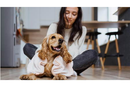 'Sống hòa thuận' cùng lông thú cưng trong nhà: Giải pháp mới đến từ LG