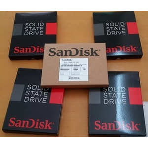 ssd sandisk 128gb x300