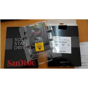 ssd sandisk 256gb x300
