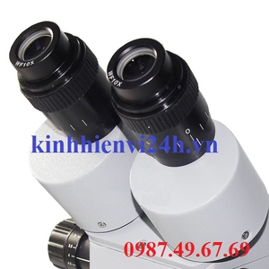 KÍNH HIỂN VI XTL-2600