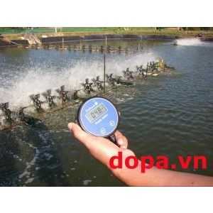 Sử Dụng Mật Rỉ Đường Để Kiểm Soát Nitơ Vô Cơ (ammonia, nitrit) Và pH Trong ao Nuôi Thủy Sản