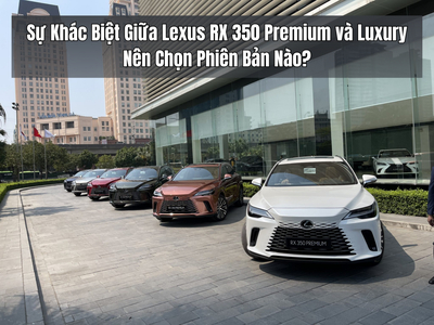 Sự Khác Biệt Giữa Lexus RX 350 Premium và Luxury: Nên Chọn Phiên Bản Nào?