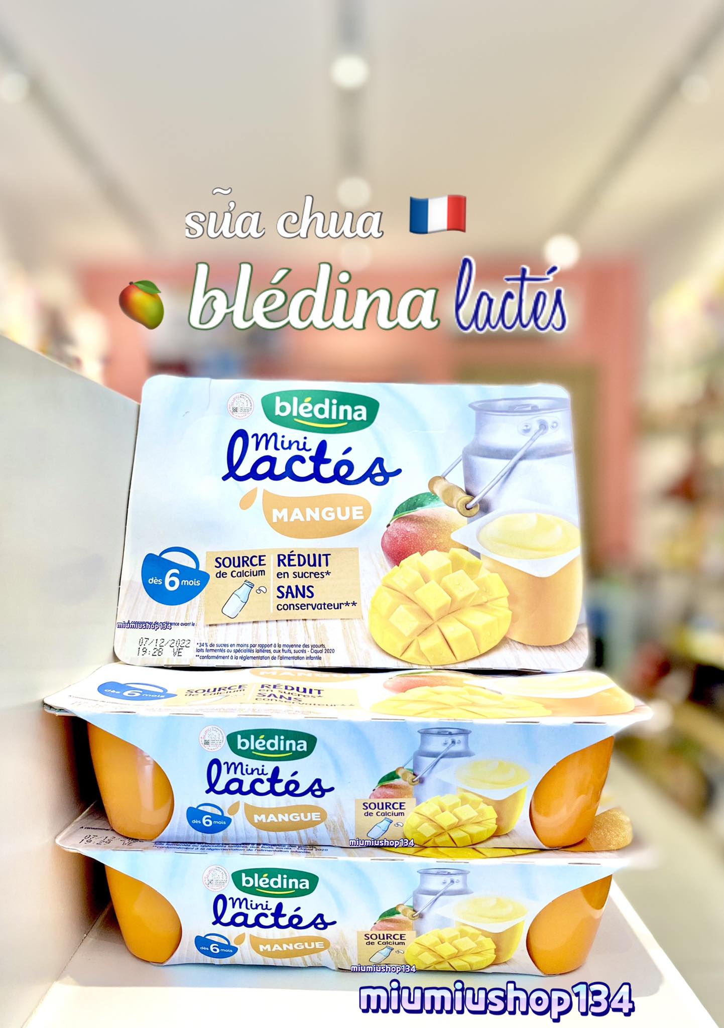 Sữa Chua Bledina Xoài 🇫🇷
