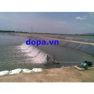 Sục khí đáy trong nuôi tôm - Hoạt động không thể bỏ qua