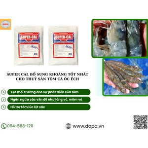 SUPER CAL- Bổ sung hiệu quả khoáng chất cho thủy sản