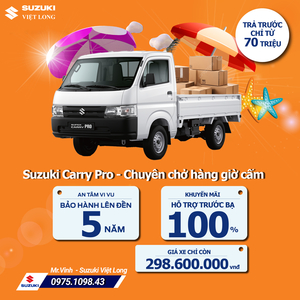 Suzuki Carry Pro