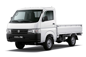 Suzuki Carry Pro