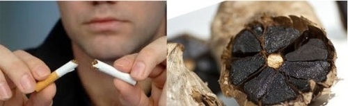 Mua tỏi đen tại HCM