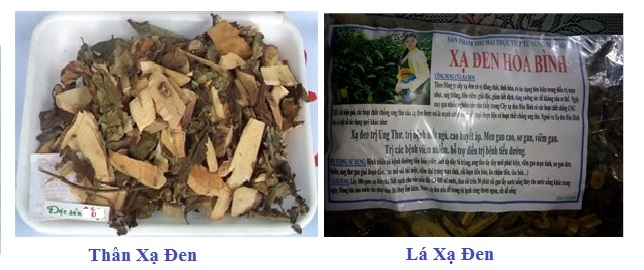 Mua cay xa den hoa binh o dau
