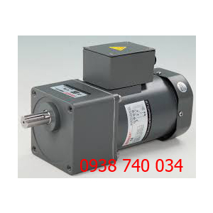 MOTOR MINI WANSHSIN, MOTOR GIẢM TỐC MINI WANSHSIN 25W, 25W