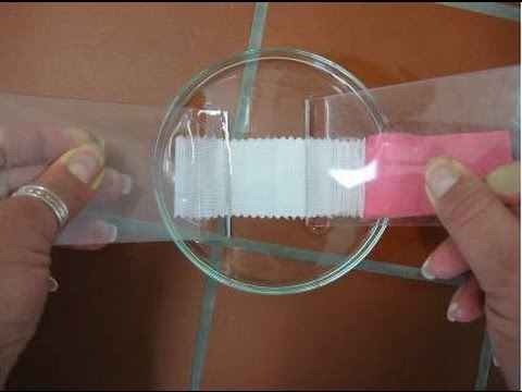 Tấm nhựa kiểm tra bền màu mồ hôi, nước, nước biển