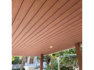 Tấm ốp phẳng gỗ nhựa composite EW-W156H21-3D DNG