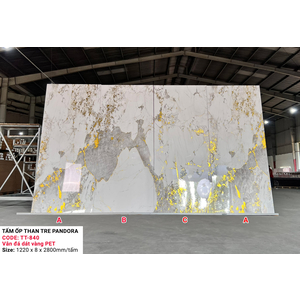 Tấm ốp sợi than tre  Parado dát vàng- VÂN ĐÁ PET TT840