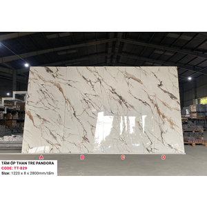 Tấm ốp sợi than tre  Parado - VÂN ĐÁ MÂY ÁNH VÀNG TT829