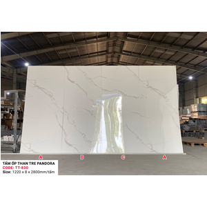 Tấm ốp sợi than tre  Parado - VÂN ĐÁ PET TT830