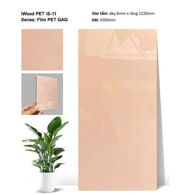 TẤM ỐP THAN TRE PHỦ PET IW-iS 11.HM TẠI HỒ CHÍ MINH