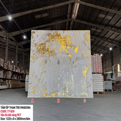 TẤM ỐP THAN TRE SỢI PARADO VÂN ĐÁ - DÁT VÀNG PET TT839