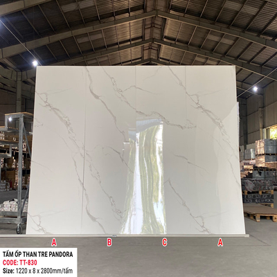 TẤM ỐP THAN TRE SỢI PARADO VÂN ĐÁ - PET TT830