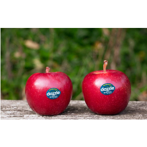 Táo dazzle