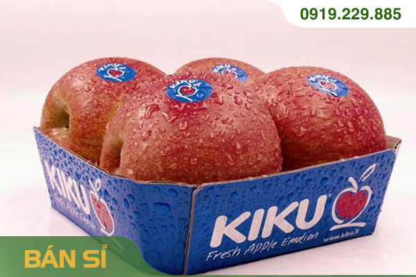 TÁO KIKU New Zealand size 70 – 90 -100