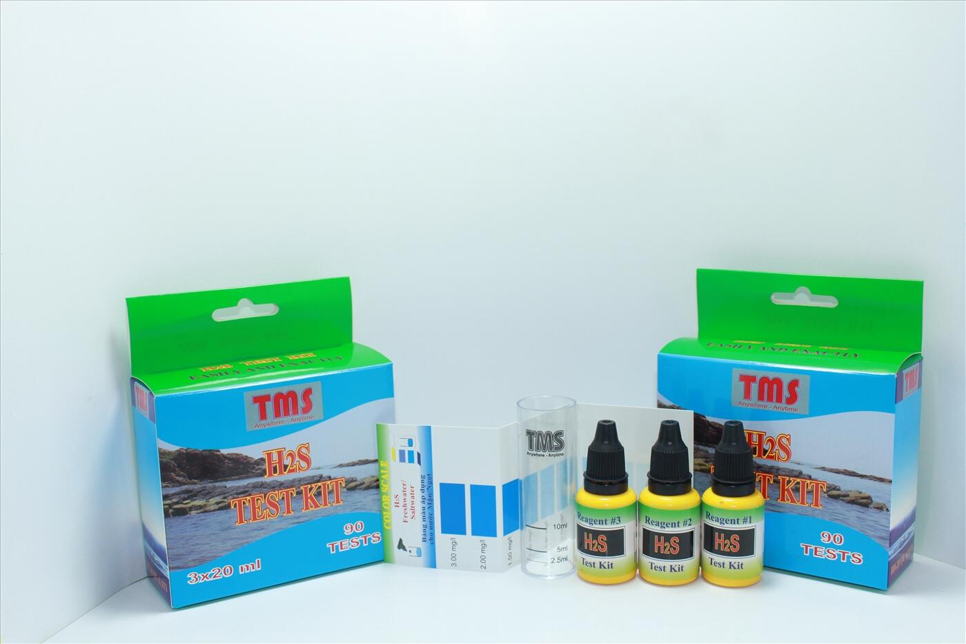 TEST H2S