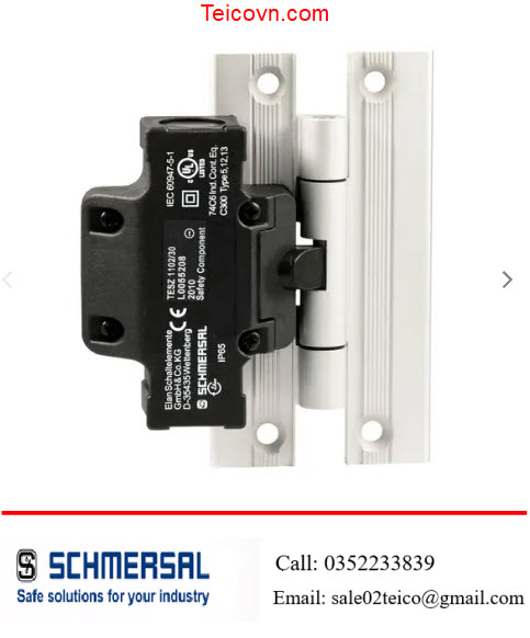 TESZ series - Hinge with built-in safety switch TESZ series - Bản lề tích hợp công tắc an toàn - SCHMERSAL Việt Nam