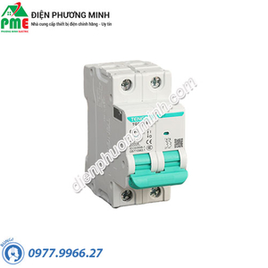 Cầu dao tự động MCB Tengen TGB1N-63 2P C25 6kA