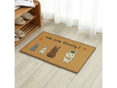 Thảm chùi chân siêu mềm ROOMLOVE DNG