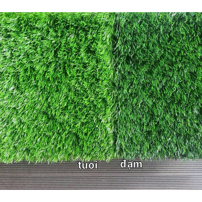 THẢM CỎ CUỘN 30MM LOẠI DÀY PN-LG30.HNM