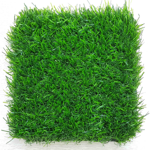 Thảm cỏ HP30M - cao 30mm loại mỏng