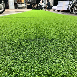 Thảm cỏ sân vườn 20mm HPL20 DNG